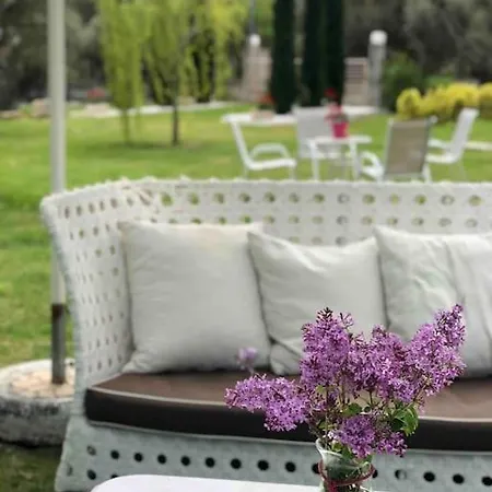 New Sun And Sea In A 4 Acres Garden Nea Moudania